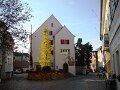 DSC05646