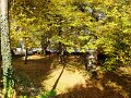 DSC05661