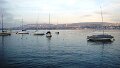 DSC05695