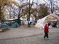 DSC05785