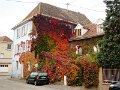 DSC05869