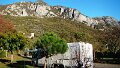 DSC07221