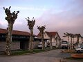 DSC07328