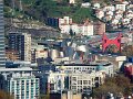 DSC07486