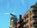 DSC07533