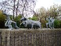 DSC07709