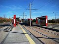DSC07784