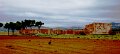 DSC08193