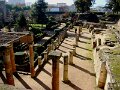 DSC08320