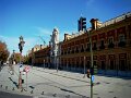 DSC08507 - Copy