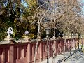 DSC08513 - Copy