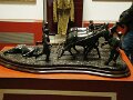 DSC08669