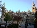 DSC08785
