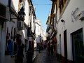DSC08806