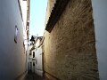 DSC08927