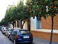 DSC08934