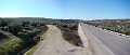 OliveTrees2