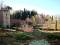 DSC09036