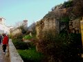 DSC09143