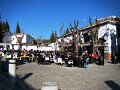 DSC09168
