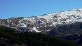 DSC09228