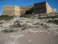 DSC09302