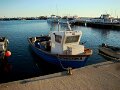 DSC09546