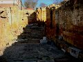 DSC09639