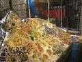 DSC09797