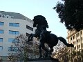 DSC09823