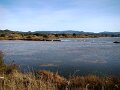 DSC00141