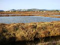 DSC00145