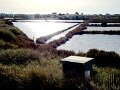 DSC00148