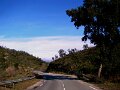 DSC00208