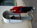 DSC00219
