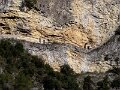 DSC00261
