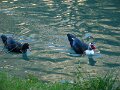 DSC00331
