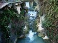DSC00339