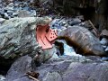 DSC00350