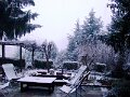 DSC00429