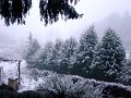 DSC00431