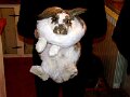 DSC00439