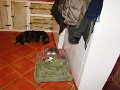 DSC00443