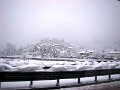 DSC00461