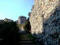 DSC00529