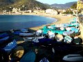 DSC00555