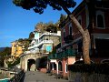 DSC00556