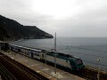 DSCN3515