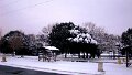 DSC00711