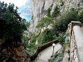 DSC01197